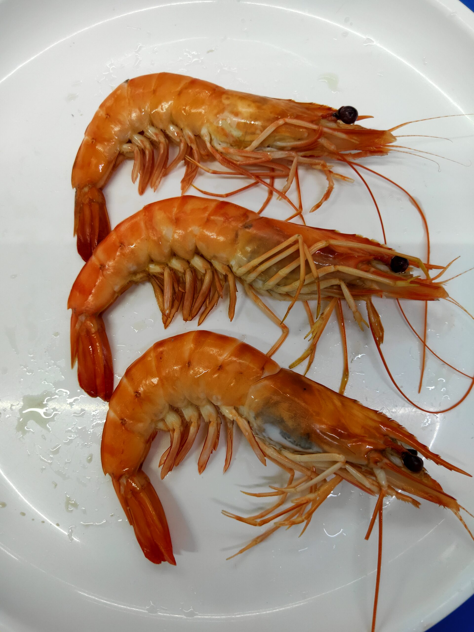 Black Tiger HOSO COOKED