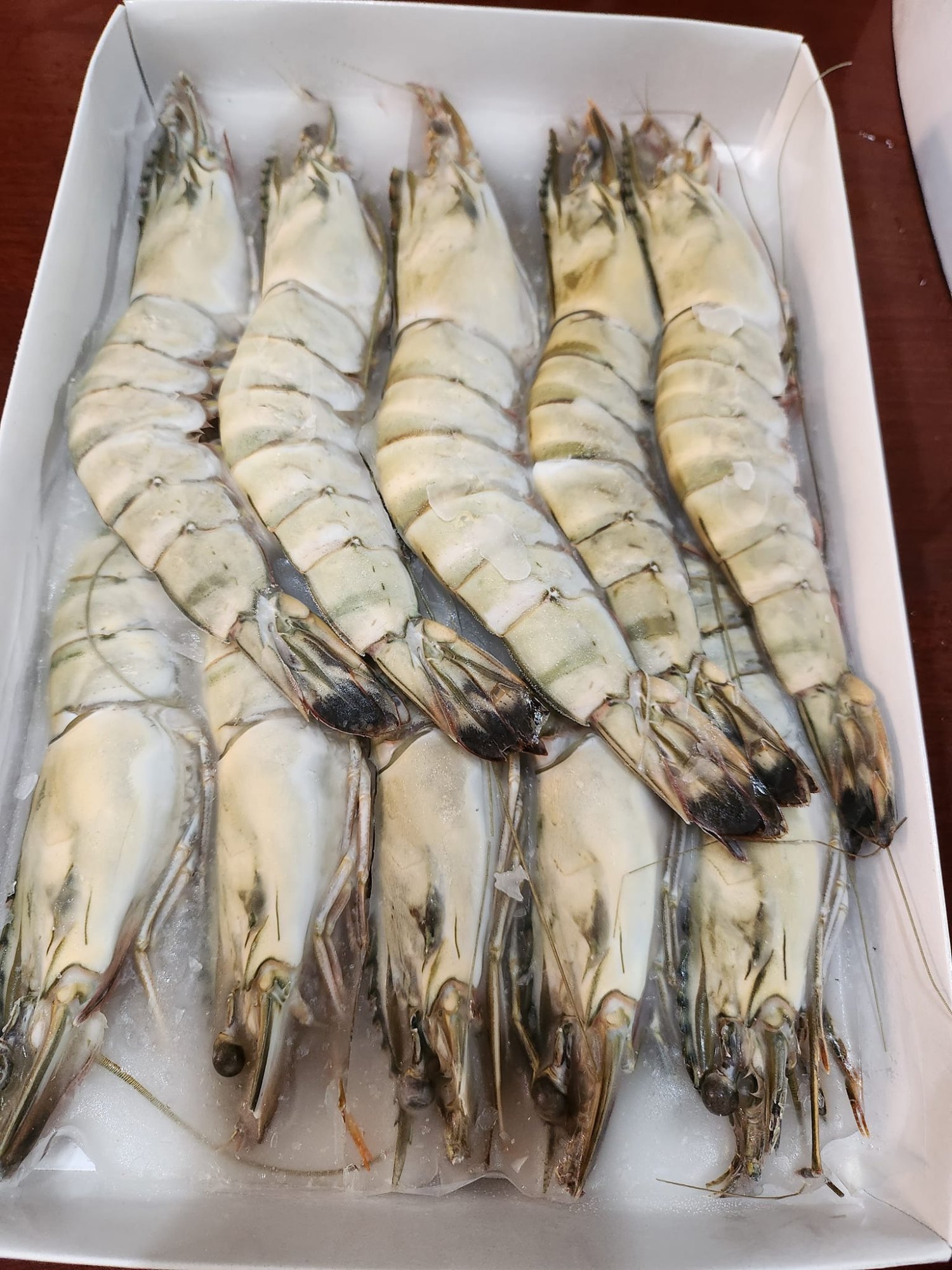 Black Tiger HOSO IQF