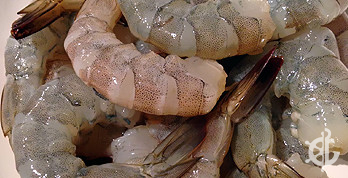 Black Tiger Pulled Vein Tail On
