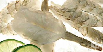 Vannamei Shrimp Butterfly