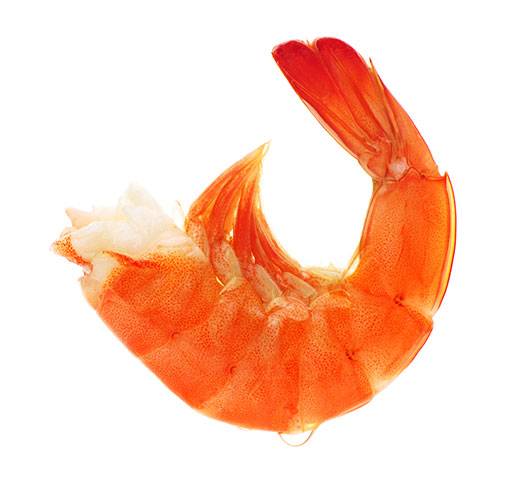 Cooked Vannamei Headless, Shell-On Shrimp (HLSO)