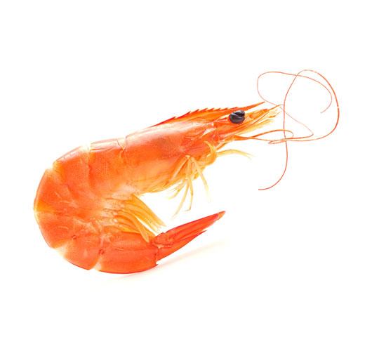 Cooked Vannamei Headon, Whole Shrimp (HOSO)