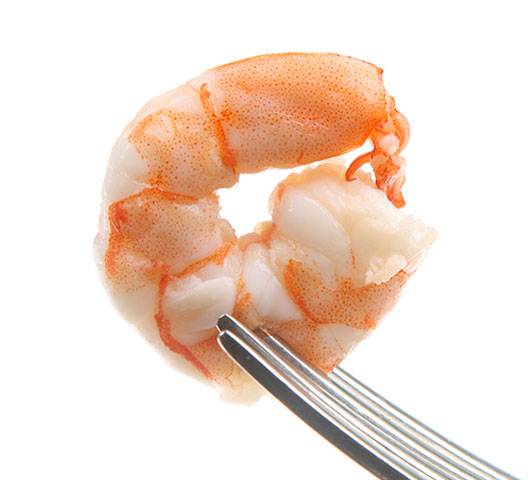 Cooked Vannamei Peeled, Deveined, Tail-Off Shrimp
