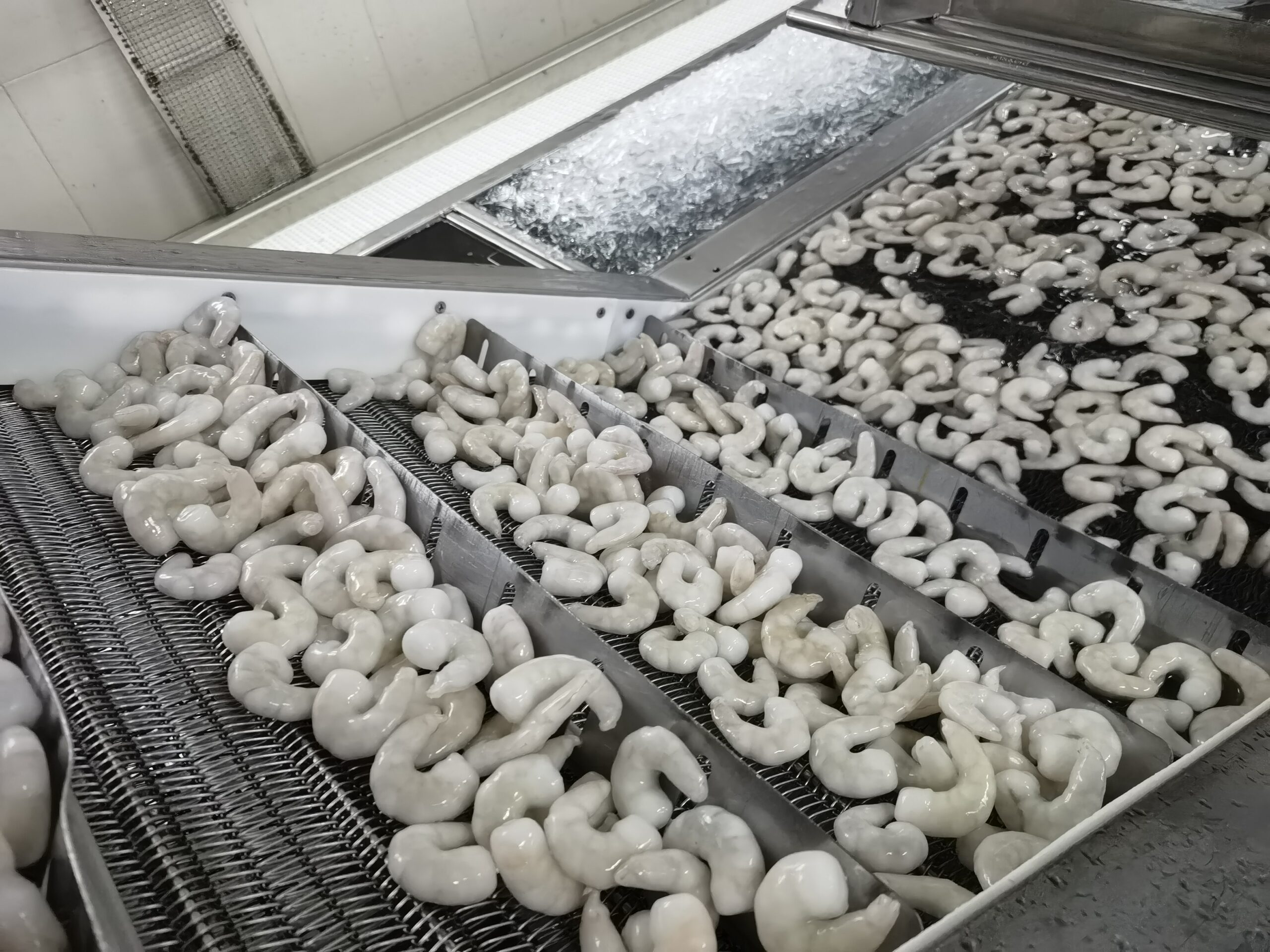 Peeled and un-deveined (PUD) Tail OFF