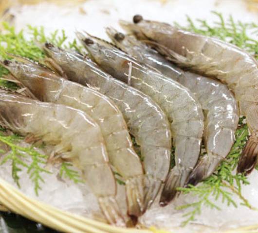 RAW VANNAMEI HEADON, WHOLE SHRIMP (HOSO)